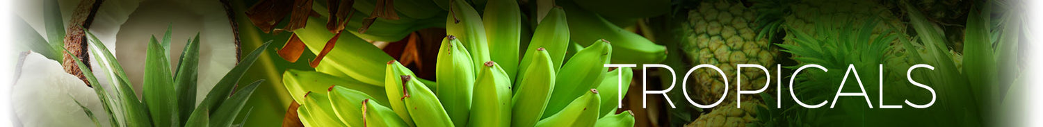 Tropicals